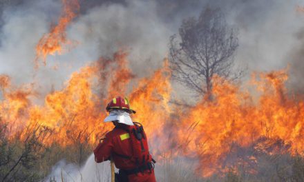 CURSO DE ESPECIALIZACIÓN EN OBSERVACION AÉREA PARA OPERACIONES DE PROTECCIÓN CIVIL Y EMERGENCIAS MEDIANTE DRONES/RPAS